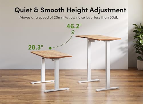 FAMISKY Mesa de pé ajustável de 111 x 61 cm, mesa de pé elétrica, mesa de elevação com placa de emen