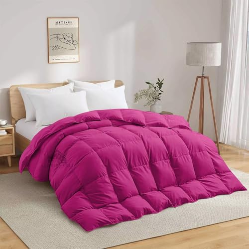 Image of Heavy Winter Comforter Double Bed Size 90 inchX100 inch | 600 GSM Fill for Winter Comforter /Rajai /Duvet /Blanket Hotel Luxury Soft Fluffy Double Bed - Hot Pink Color