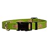 Yellow Dog Design Standard Easy-Snap Collar, Green/Pink Skulls, Medium 14″ – 20″ (1″ Wide)