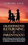Grandparents Returning to Parenthood: A Parents Recovery Story from Pain to Peace: a Supportive Guide for Grandparents Raising Grandchildren and Parents of Adult Addicts
