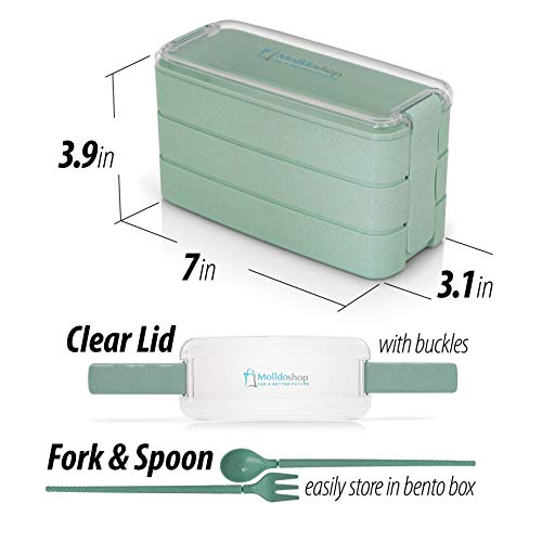 image for Japanese Bento Lunch Box, 3-in-1 Compartment For Adults And Kids, Eco 