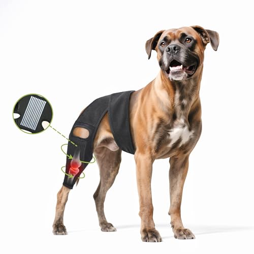 Image of Dog Hip Brace, Knee & Leg Support Brace for ACL Recovery, Ligament Injury - Breathable & Adjustable Dog Leg Brace for Senior Dogs, Post-Surgery Rehabilitation & Mobility Aid(Size S)