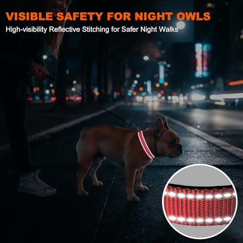Image of Taglory Reflective Small Dog Collar, Comfortable for Safe Night Walks, Pink