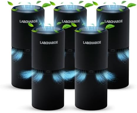 LabCharge Small Ionic Air Purifier for Home & Bedroom – Silent HEPA Filter – Covers 250 Sq Ft - Free Cleaner for Pets, Hair, Smoke, Dust, Odors & Dander – Compact & Black Design - Pack of 5