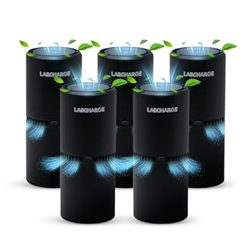 best ionic air purifier no filter