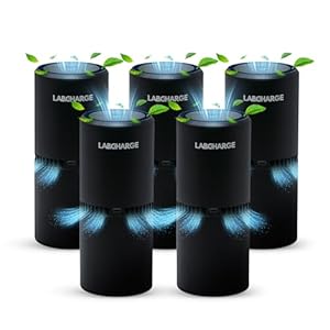 LabCharge Small Ionic Air Purifier ...