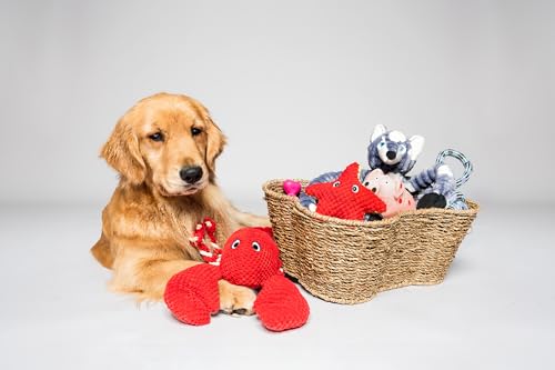 Dog Toy Basket, Bone Shaped Dog Toy Bin, Handmade Pet Organizer And Storage, Toy Box for Cats, (17x13" Seagrass) - Image 4