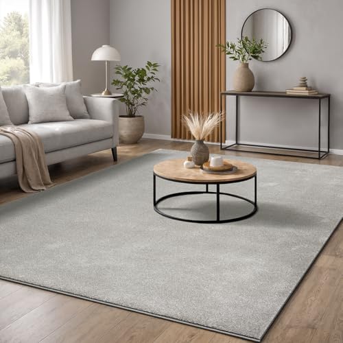 the carpet Marley, Tapis Élégant de Designer, Tapis de Salon, À Poils Courts, Doux, Facile d'entretien, Élégant, Uni, Argent, 200 x 290 cm
