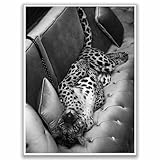 Panther On The Sofa Wall Art -...