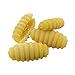Sfoglini Organic Pasta Variety Pack, Durum Semolina Trumpets, Whole Grain Reginetti, Saffron Malloreddus, Beet Fusilli, 4 Count