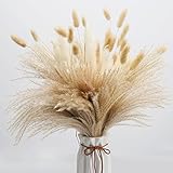 Esta hierba de pampa seca es elegante y versátil, ya sea que se use para decorar la sala de estar, el dormitorio, la cocina, el estudio, el balcón o el jardín, es muy adecuada.La combinación avanzada de colores de la combinación de juncos también es muy adecuada para la decoración de hoteles. Cafés y restaurantes para que la gente se sienta relajada y cómoda.