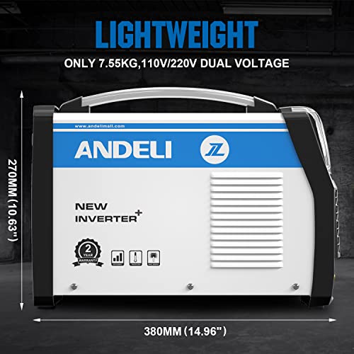 Andeli Tig Welder Mos Tube Multifunctional Cold Welding Machine With Hot/Cold/Tig Pulse Cold Tig Welding Machine （110/220V） Tig-250Mpl #TOP3