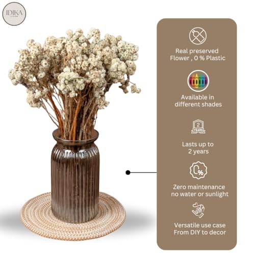 Image of Himalayan Daisy Dried Flowers | Natural Dried Blooms| 70 Grams | Naturally Preserved, Delicate & Everlasting | Perfect for Home Decor, Floral Arrangements, Bouquets & DIY Crafts(White)
