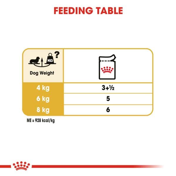 Royal Canin Dachshund Adult Mousse | 12 x 85 g | Alleinfuttermittel für Hunde | Ausgewachsene Dackel