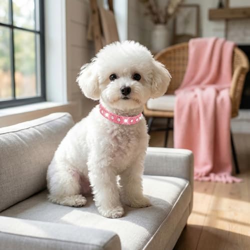 Puppy Dog Collar with Crystal Diamond Bling - XS Pink