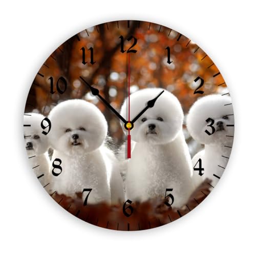 |v rVt[[ ׂƂ EI[NbN NbN v Abj CeAv CeA Ղ Ǌ|Ƃ  dr 蕨 v[g