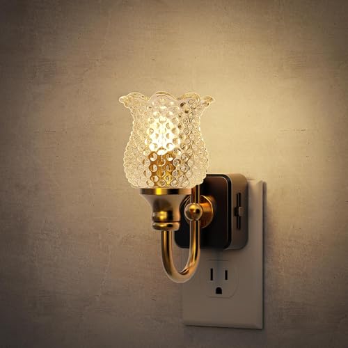 Image of JandCase Night Light, Glass Night Lights Plug into Wall Dimmable | Floral LED Nightlight, 0-100LM Flower Nightlights, Dusk to Dawn Sensor, 1W Vintage Nite Light for Bathroom Hallway Gift Decor