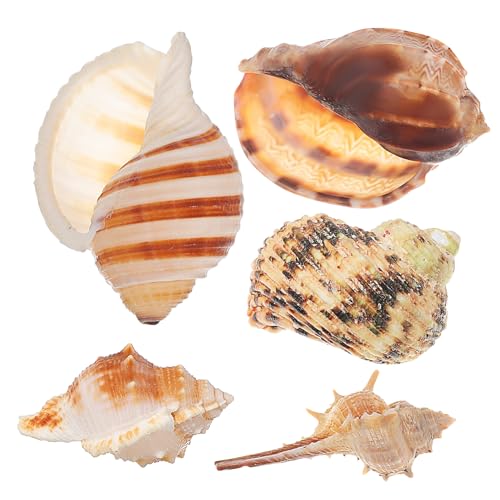 Abaodam 5 zL  L  傫 I[VfR[ B A Cm  e[} I[ig W B Lk ANZT[  VF