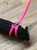 PIG HOG Harness with Leash 2 Buckles