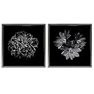 Stupell Industries Blossoms with Water Droplets 2pc Gray Floater Framed Canvas Wall Art Set Design by Brian Carson, 18 x 18