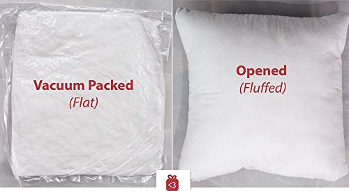 Image of Microfiber Cushion Fillers Pillow (30 x 30 cm, white) - Pack of 2