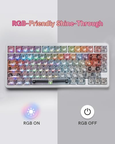 Image of Rainbow Clear Keycaps, 125 Keys MOA Profile Transparent Keyboard keycaps, Shine Through Jelly Key caps, Compatible with 60%, 65%, 75%, 96%, Full-Sized Layout Mx Switches Mechanical Keyboard
