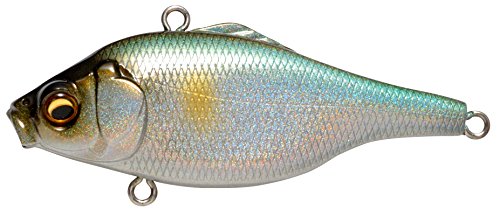 雷魚釣り 初心者必見 雷魚の基本的な釣り方をご紹介 暮らし の