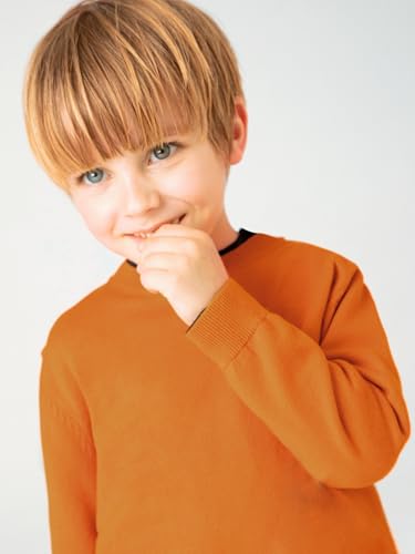 Mayoral Basic Cotton Jumper w/Round for Boys Carrot3