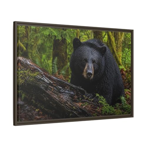 Impression toile ours noir cadre espresso pour habiller un grand mur