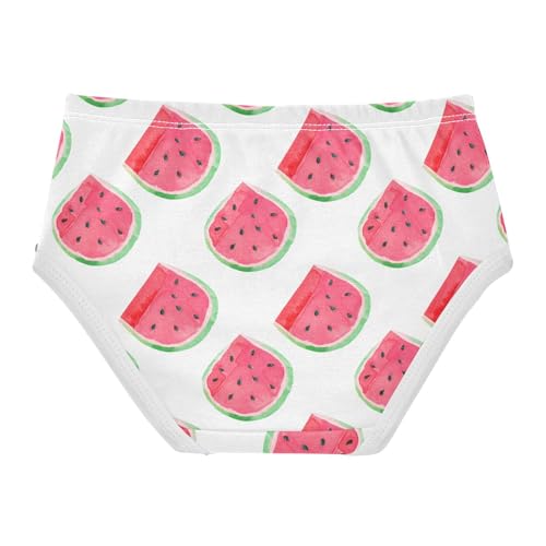 Watercolor Watermelon Toddler Girls's Underwear 2T 202c18642
