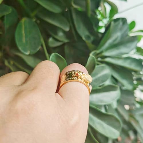Image of Feng Shui PiXiu Mantra Ring - Lucky Wealth Jewelry