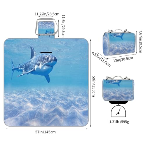 Shimoshe Picnic Blankets 57”x 59”, Ocean Sea Animal Shark Waterproof Sandproof Picnic Mat Lightweight Foldable Beach Blanket for Camping Park Grass Beach Outdoor Blanket
