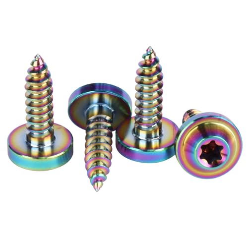 UHDFBDHF 4Pcs Titanium M5 18mm Self Tapping Screw T25 Torx Head Motorcycle Bolt (Ranibow)