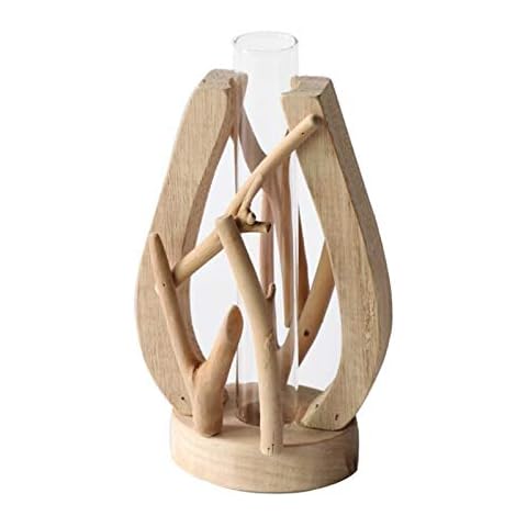 Poitemsic Glass Propagation Station with Wood Frame Flower Vase,Test Tube Vase for Terrarium Plant Propogating Planters Cover