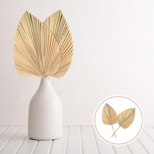 2 hojas de palma secas para decoración rústica boho miniatura 6