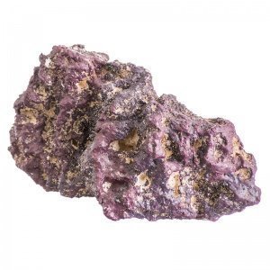 Un’alternativa ecologica ed economica alle rocce vive