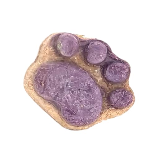 Fenayuu Snacks para Gatos | Alimento Liofilizado De Entrenamiento para Gato Interior - Bocadillos De Limpieza Y Suplemento Nutricional para Tiempo De Vinculación,Recompensas De Entrenamiento Y