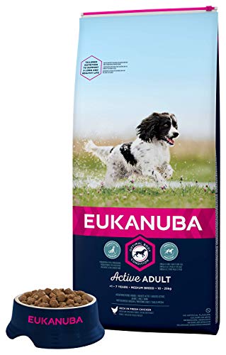 eukanuba large breed senior 15kg