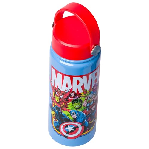 Image of Silver Buffalo Marvel Avengers, Stainless Steel Water Bottle, 20oz | Captain America, Hulk, Thor, Iron Man, Black Widow, Hawkeye, Vision, Falcon, Scarlet Witch, Swivel, Handle, Black Panther