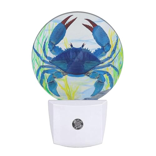 Image of Blue Crab Night Light Shellfish Sea Grass Night Lights Plug into Wall 0.5W LED Lighting Auto on /Off for Hallway Stairway Kitchen Home Decor