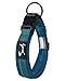 Hund und günstig Kaufen-PETTOM Hundehalsband Verstellbare Nylon Hunde Halsband Atmungsaktives Reflektierend Halsband (Blau M)