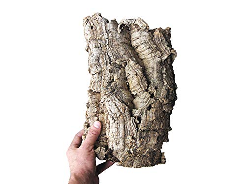 Geosism & Nature Zattera in Sughero per Orchidee e Tillandsia c.ca 20x30 cm