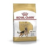 pastore tedesco pelo lungo ROYAL CANIN German Shepherd Adult 11000 gr