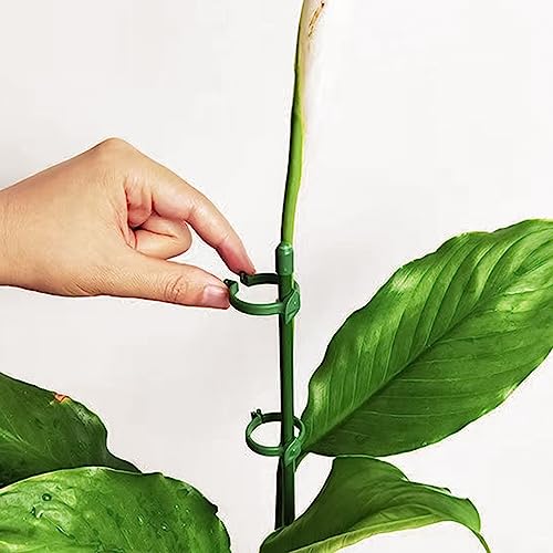 Ruksifg MA0059 20 Pcs Plant Support Stakes Height Adjustable Garden Single Stem Plant Stake With 40 Pcs Plant Clips And 10 Pcs Connect Pipe For Orchid Rose Peony Peppers Amaryllis Tomato thumb #3