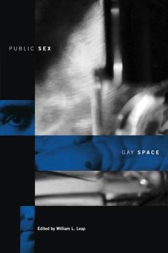 Public Sex/Gay Space (Between Men-Between Women: Lesbian and Gay Studies)