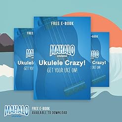 Mahalo Kahiko Ukulélé Soprano avec Housse Bleu Satin - Les Beatles, Paul McCartney, John Lennon, RIngo Starr, George Harrison Mahalo Kahiko Ukulélé Soprano avec Housse Bleu Satin – Image 6