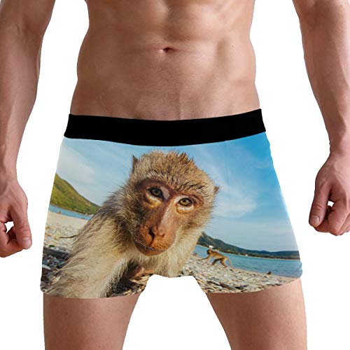 ZZKKO Giraffe Cat Mens Boxer Briefs Underwear Breathable Stretch Boxer Trunk with Pouch S-XXL2