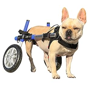 Walkin’ Wheels Dog Wheelchair – for Small Dogs 11-25 Pounds – Veterinarian Approved – Dog Wheelchair for Back Legs