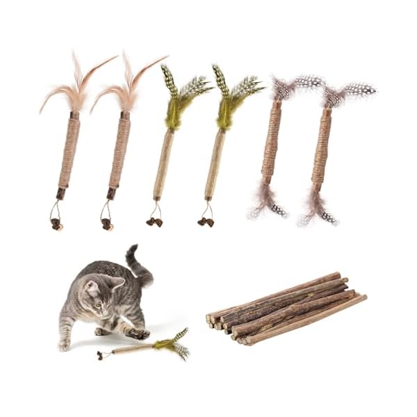 FANTESI 21 Stück Katzenminze Sticks,Katzensticks Zur Zahnreinigung,Katzenminze Spielzeug Kausticks Set, Katzen Kauhölzer Sticks für Katzen Zahnpflege Gegen Mundgeruch Spielen Beißen Kauen