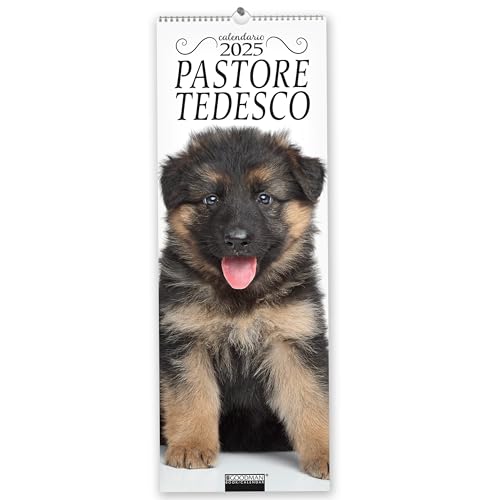 Pastore tedesco. Calendario 2025. Long